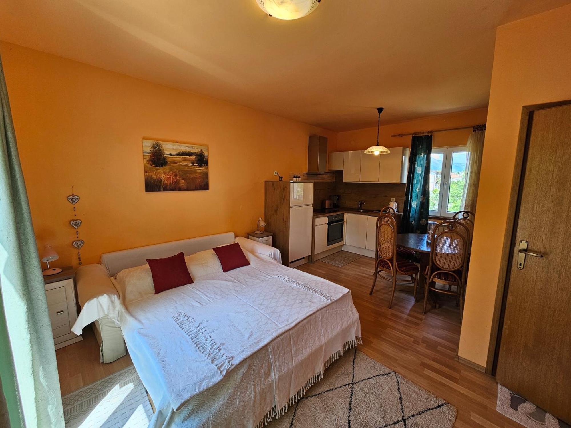 Apartment Danja
