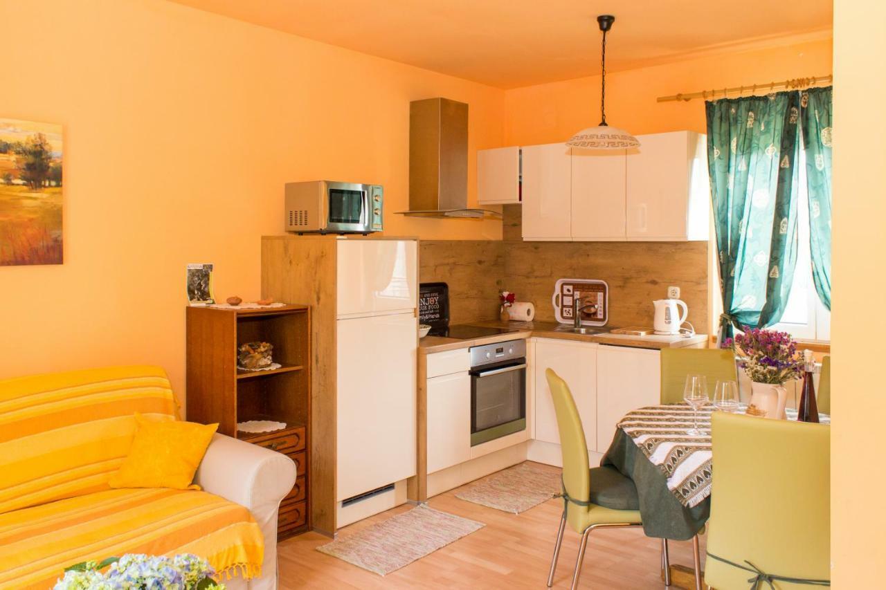 Apartment Danja *